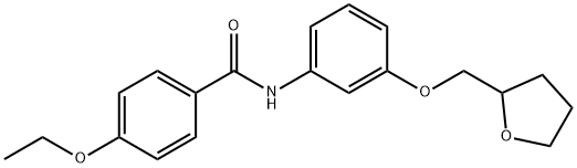 4-ethoxy-N-[3-(tetrahydro-2-furanylmethoxy)phenyl]benzamide 化学構造式