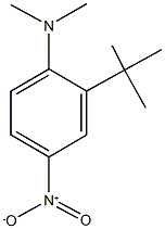 2-tert-butyl-N,N-dimethyl-4-nitroaniline Structure