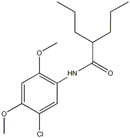 N-(5-chloro-2,4-dimethoxyphenyl)-2-propylpentanamide Struktur