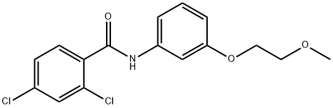 2,4-dichloro-N-[3-(2-methoxyethoxy)phenyl]benzamide 化学構造式