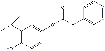 3-tert-butyl-4-hydroxyphenyl phenylacetate,92943-49-2,结构式