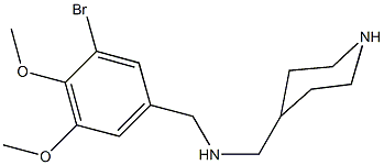 N-(3-bromo-4,5-dimethoxybenzyl)-N-(4-piperidinylmethyl)amine Struktur