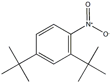 2,4-ditert-butyl-1-nitrobenzene,93720-37-7,结构式