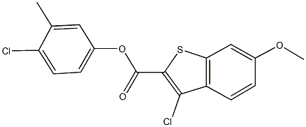  4-chloro-3-methylphenyl 3-chloro-6-methoxy-1-benzothiophene-2-carboxylate