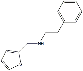  N-(2-phenylethyl)-N-(2-thienylmethyl)amine