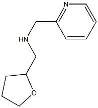 pyridin-2-yl-N-(tetrahydrofuran-2-ylmethyl)methanamine|