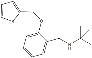 N-(tert-butyl)-N-[2-(2-thienylmethoxy)benzyl]amine