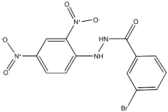 N'-{2,4-dinitrophenyl}-3-bromobenzohydrazide|