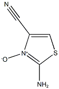2-amino-1,3-thiazole-4-carbonitrile 3-oxide Struktur