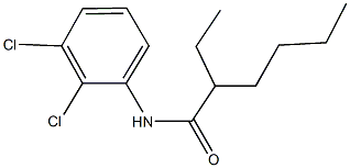 N-(2,3-dichlorophenyl)-2-ethylhexanamide Structure