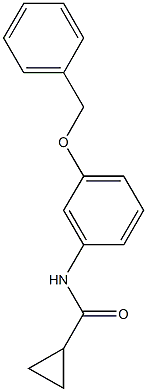 N-[3-(benzyloxy)phenyl]cyclopropanecarboxamide,,结构式