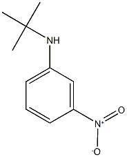 N-tert-Butyl-3-nitroaniline