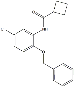 N-[2-(benzyloxy)-5-chlorophenyl]cyclobutanecarboxamide