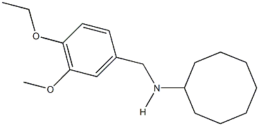 N-cyclooctyl-N-(4-ethoxy-3-methoxybenzyl)amine Struktur