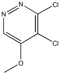 5,6-dichloro-4-pyridazinyl methyl ether