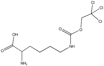 N~6~-[(2,2,2-trichloroethoxy)carbonyl]lysine