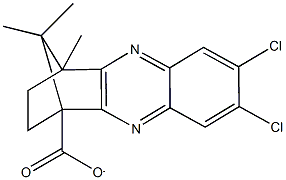 7,8-dichloro-4,11,11-trimethyl-1,2,3,4-tetrahydro-1,4-methanophenazine-1-carboxylate Structure