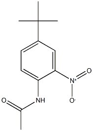 N-{4-tert-butyl-2-nitrophenyl}acetamide,,结构式