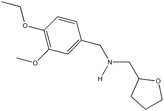 N-(4-ethoxy-3-methoxybenzyl)-N-(tetrahydro-2-furanylmethyl)amine Structure