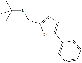 N-(tert-butyl)-N-[(5-phenyl-2-furyl)methyl]amine,,结构式