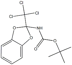 tert-butyl 2-(trichloromethyl)-1,3-benzodioxol-2-ylcarbamate 化学構造式