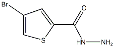 4-bromo-2-thiophenecarbohydrazide