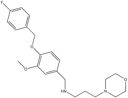 N-{4-[(4-fluorobenzyl)oxy]-3-methoxybenzyl}-N-[3-(4-morpholinyl)propyl]amine,,结构式