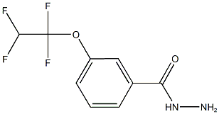 3-(1,1,2,2-TETRAFLUOROETHOXY)BENZOHYDRAZIDE Struktur