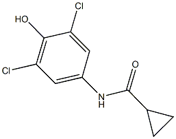 N-(3,5-dichloro-4-hydroxyphenyl)cyclopropanecarboxamide 结构式