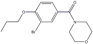  2-bromo-4-(4-morpholinylcarbonyl)phenyl propyl ether