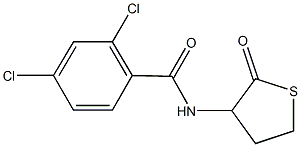 2,4-dichloro-N-(2-oxotetrahydro-3-thienyl)benzamide 化学構造式