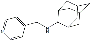 N-(2-adamantyl)-N-(4-pyridinylmethyl)amine Structure