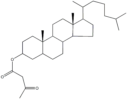 cholestan-3-yl 3-oxobutanoate 化学構造式