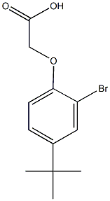 (2-bromo-4-tert-butylphenoxy)acetic acid Structure