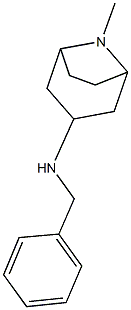 N-benzyl-N-(8-methyl-8-azabicyclo[3.2.1]oct-3-yl)amine 结构式