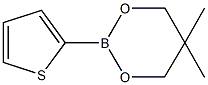 5,5-dimethyl-2-(2-thienyl)-1,3,2-dioxaborinane 化学構造式