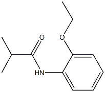 N-(2-ethoxyphenyl)-2-methylpropanamide 结构式