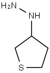 1-(tetrahydrothiophen-3-yl)hydrazine Structure