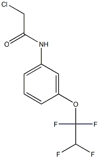 2-chloro-N-[3-(1,1,2,2-tetrafluoroethoxy)phenyl]acetamide Structure