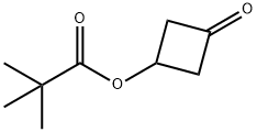 3-Oxocyclobutyl pivalate Structure