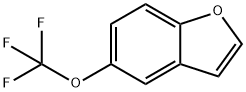 5-三氟甲氧基苯并呋喃,1261491-15-9,结构式