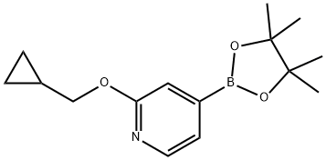 2-(CYCLOPROPYLMETHOXY)-4-(4,4,5,5-TETRAMETHYL-1,3,2-DIOXABOROLAN-2-YL)PYRIDINE, 1346707-99-0, 结构式