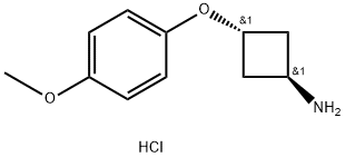 CyclobutanaMine, 3-(4-Methoxyphenoxy)-, hydrochloride (1:1), trans- Struktur