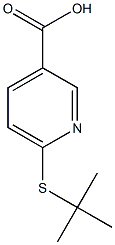 6-(tert-butylsulfanyl)pyridine-3-carboxylic acid,,结构式