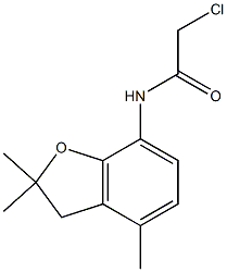 2-chloro-N-(2,2,4-trimethyl-2,3-dihydro-1-benzofuran-7-yl)acetamide,,结构式