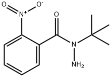 N-tert-butyl-2-nitrobenzohydrazide|N-(叔丁基)-2-硝基苯甲酰肼