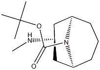 tert-butyl endo-3-(methylamino)-9-azabicyclo[3.3.1]nonane-9-carboxylate Struktur