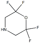 2,2,6,6-TETRAFLUOROMORPHOLINE,,结构式