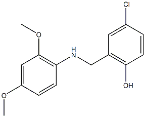 4-chloro-2-{[(2,4-dimethoxyphenyl)amino]methyl}phenol 结构式
