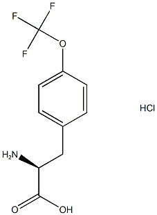 (2S)-2-amino-3-[4-(trifluoromethoxy)phenyl]propanoic acid hydrochloride Structure